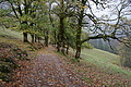 DSC02355 - Bernhard Saalfeld