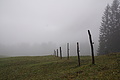 DSC02364 - Bernhard Saalfeld