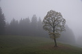 DSC02366 - Bernhard Saalfeld