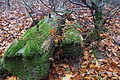DSC02368 - Bernhard Saalfeld