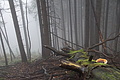 DSC02369 - Bernhard Saalfeld
