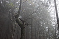 DSC02371 - Bernhard Saalfeld