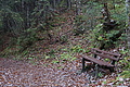 DSC02372 - Bernhard Saalfeld