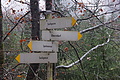 DSC02373 - Bernhard Saalfeld