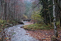 DSC02375 - Bernhard Saalfeld