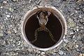 DSC02391 - Bernhard Saalfeld