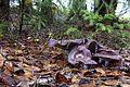 DSC02392 - Bernhard Saalfeld