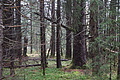 DSC02393 - Bernhard Saalfeld