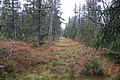 DSC02396 - Bernhard Saalfeld