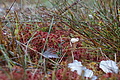 DSC02397 - Bernhard Saalfeld