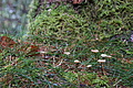 DSC02398 - Bernhard Saalfeld