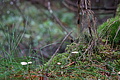 DSC02399 - Bernhard Saalfeld