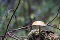 DSC02401 - Bernhard Saalfeld