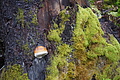 DSC02406 - Bernhard Saalfeld
