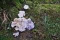 DSC02408 - Bernhard Saalfeld