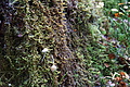 DSC02411 - Bernhard Saalfeld