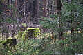 DSC02412 - Bernhard Saalfeld