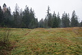 DSC02413 - Bernhard Saalfeld