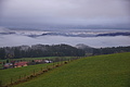 DSC02427 - Bernhard Saalfeld