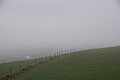 DSC02430 - Bernhard Saalfeld