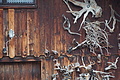 DSC02431 - Bernhard Saalfeld