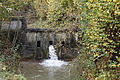 DSC02433 - Bernhard Saalfeld