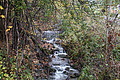 DSC02434 - Bernhard Saalfeld