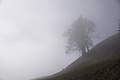 DSC02437 - Bernhard Saalfeld