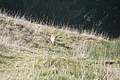 DSC02438 - Bernhard Saalfeld