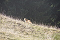 DSC02441 - Bernhard Saalfeld
