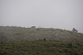 DSC02449 - Bernhard Saalfeld