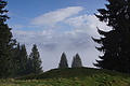 DSC02451 - Bernhard Saalfeld