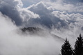 DSC02452 - Bernhard Saalfeld