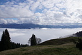 DSC02460 - Bernhard Saalfeld