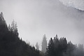 DSC02478 - Bernhard Saalfeld