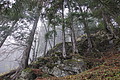 DSC02490 - Bernhard Saalfeld