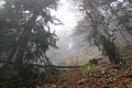 DSC02491 - Bernhard Saalfeld