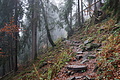 DSC02494 - Bernhard Saalfeld