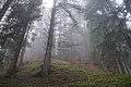 DSC02496 - Bernhard Saalfeld
