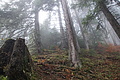 DSC02497 - Bernhard Saalfeld