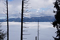 DSC02504 - Bernhard Saalfeld
