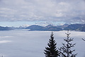 DSC02505 - Bernhard Saalfeld