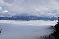 DSC02510 - Bernhard Saalfeld