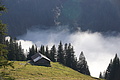 DSC02519 - Bernhard Saalfeld