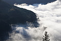 DSC02572 - Bernhard Saalfeld
