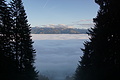 DSC02580 - Bernhard Saalfeld