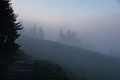 DSC02583 - Bernhard Saalfeld