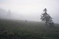 DSC02595 - Bernhard Saalfeld