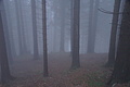 DSC02596 - Bernhard Saalfeld