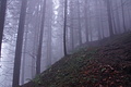 DSC02597 - Bernhard Saalfeld